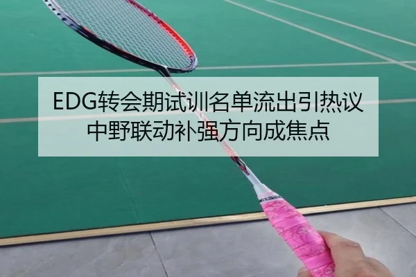 EDG转会期试训名单流出引热议 中野联动补强方向成焦点